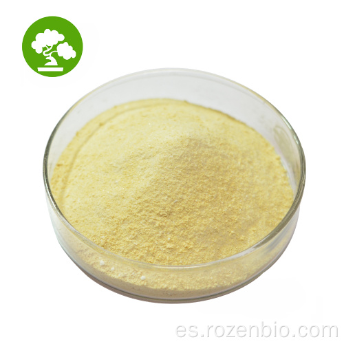 Quercetina de extracto de Sophora japonica 98%